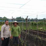 IMG-20260516-WA0001(1)
