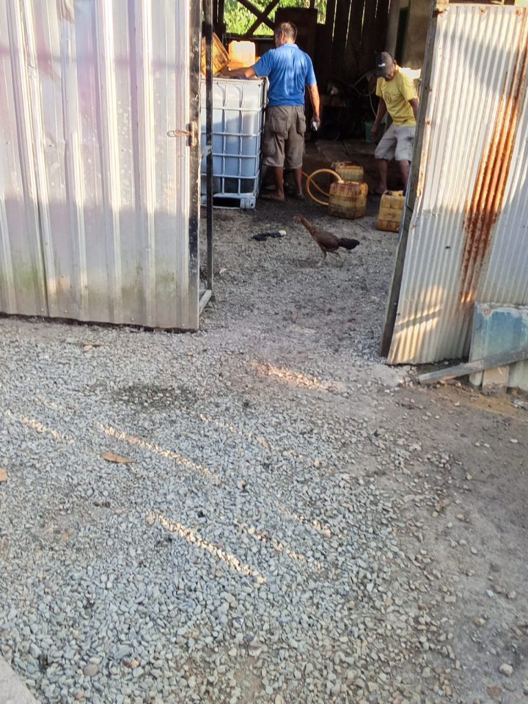 IMG-20260531-WA0025