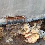 IMG-20260607-WA0019