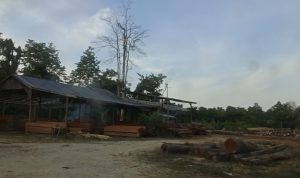 IMG-20260713-WA0004