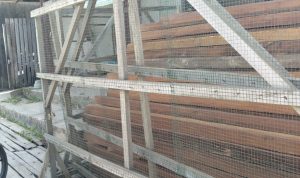 IMG-20260820-WA0038
